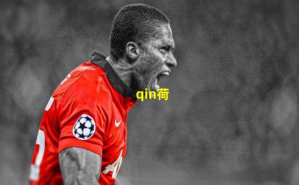 qin荷