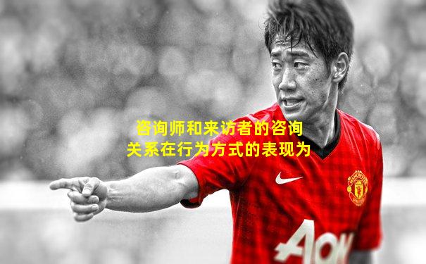 咨询师和来访者的咨询关系在行为方式的表现为