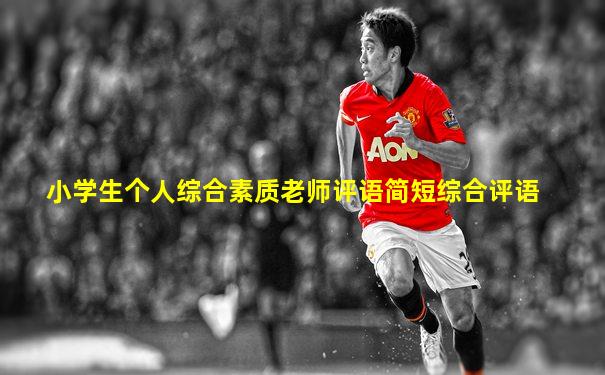 小学生个人综合素质老师评语简短综合评语