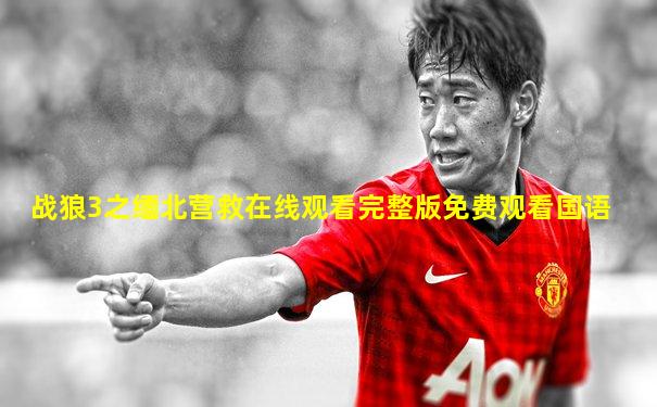 战狼3之缅北营救在线观看完整版免费观看国语