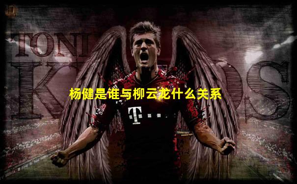 杨健是谁与柳云龙什么关系