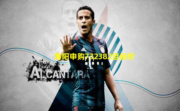 海阳申购732382目标价