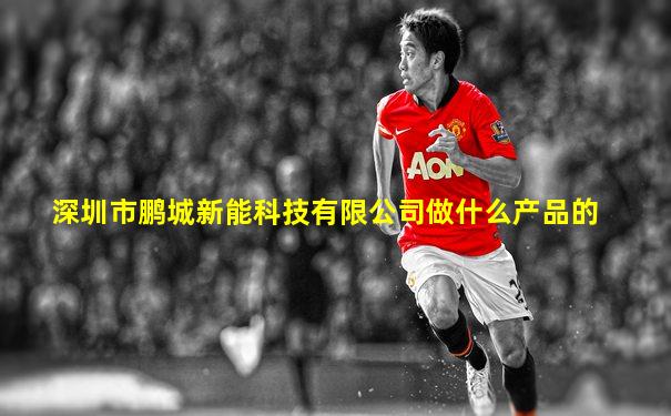 深圳市鹏城新能科技有限公司做什么产品的