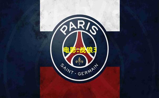 电影:战狼3