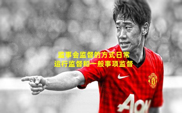 监事会监督的方式日常运行监督和一般事项监督