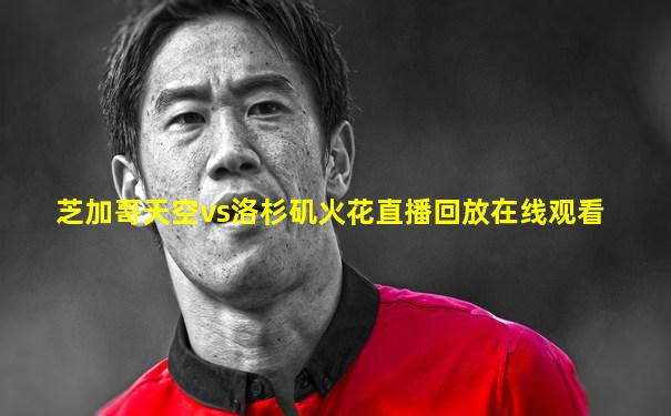芝加哥天空vs洛杉矶火花直播回放在线观看