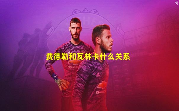 费德勒和瓦林卡什么关系