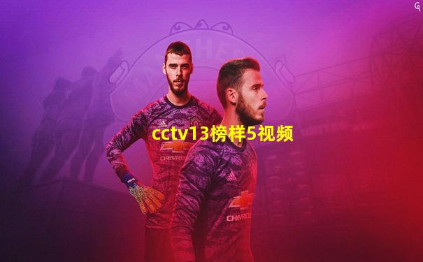 cctv13榜样5视频