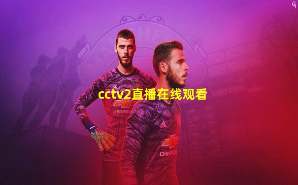 cctv2直播在线观看