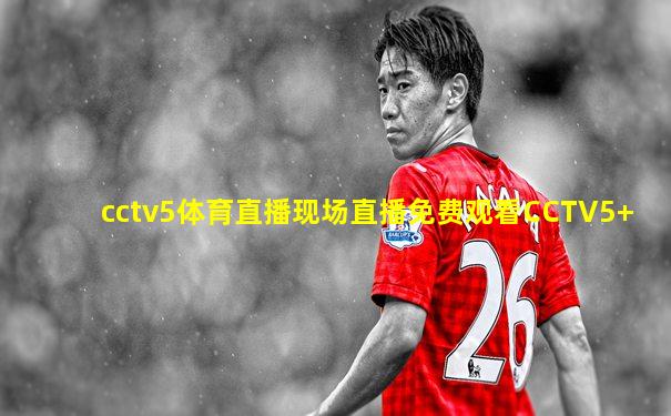cctv5体育直播现场直播免费观看CCTV5+