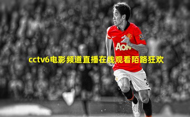cctv6电影频道直播在线观看陌路狂欢