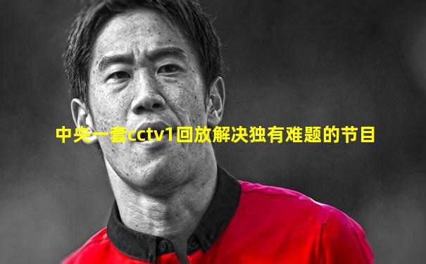 中央一套cctv1回放解决独有难题的节目