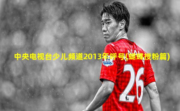 中央电视台少儿频道2013年呼号(蝴蝶授粉篇)
