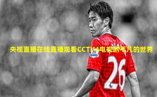 央视直播在线直播观看CCTV4电视剧平凡的世界