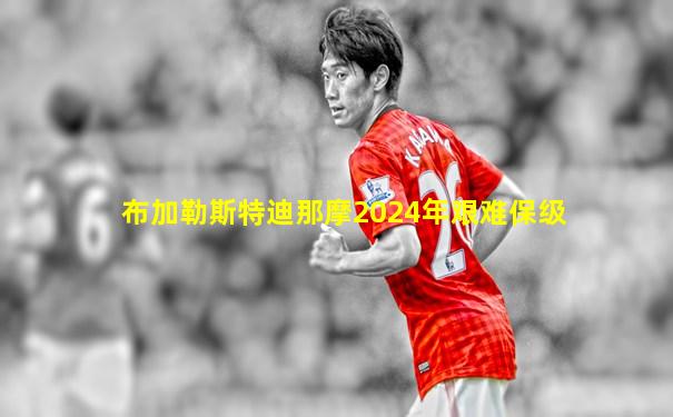 布加勒斯特迪那摩2024年艰难保级