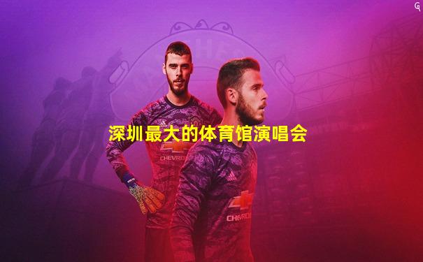 深圳最大的体育馆演唱会