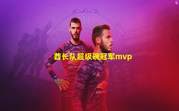 酋长队超级碗冠军mvp