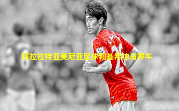 阿拉拉特亚美尼亚足球和基希纳乌野牛